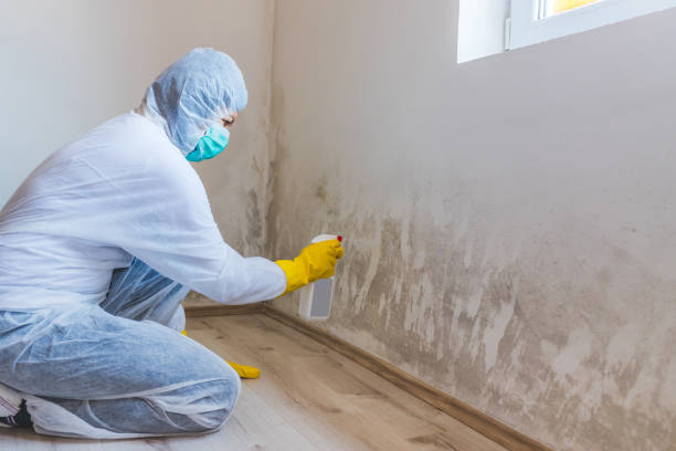 Hvac And Air Duct Mold Remediation inspection of HVAC system in Hyattsville
